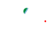 ИКИ РАН